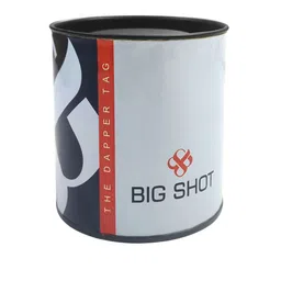 BIG SHOT Men Brass Dial & Leather Straps Analogue Watch image 4