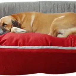 havens dream Dog Bed, Sofas Bed & Chairs Bed XXL Pet Bed image 1