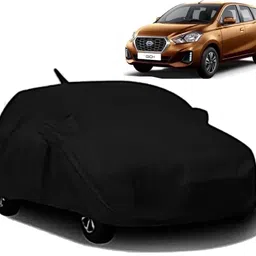 almics Datsun Go+-picture-19