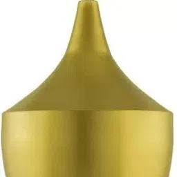 areezo Pendants Ceiling Lamp image 2