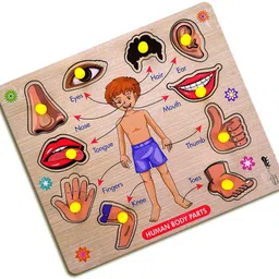cyrus LEARNING GAME FOR KIDS WOODEN BODY PART GAME.-picture-22
