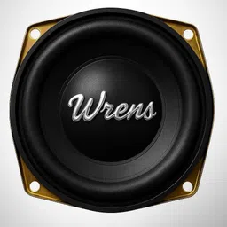 wrens 5 Inch 300W Woofer Speaker Powerful Bass for Car Music and Home Sound System DD-047 Coaxial Car Speaker-picture-24