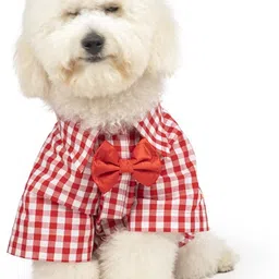 Shirt for Dog-image-1