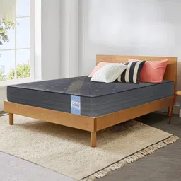 springtek Dreamer Bonnel 8 Inch Spring Mattress In Single Size image 2