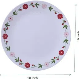 carnival SQ-6 Dinner Plate image 3