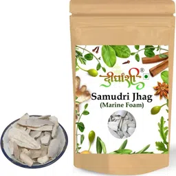 dirghaanshi Samundari Jhag,Cuttlefish Bone,Marine Foam,Samunder Fan,Sea Foam,Samunder Jhag Seed-picture-11