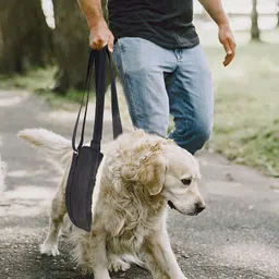 lifestyle helpmate Lifestyle Dog Hip Support Harness to Help Lift Rear for Canine Aid Old K9 C Safety Harness image 2