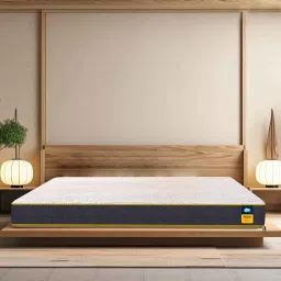 centuary mattresses Sleepables Dual Comfort 5 Inch Reversible HR Foam Mattress in Queen Size Inches image 1