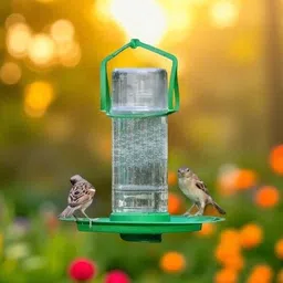 sage Hanging Bird Feeder for Garden & Balcony | Outdoor Food Dispenser Window Bird Feeder Bird Feeder-picture-13
