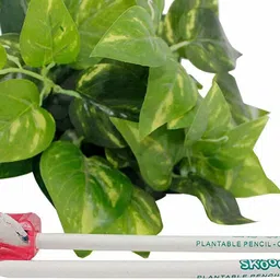 skoodle Plantable Series Recycled Paper Pencils, 50 Eco-Friendly Pencils made from recycled paper, For Sketching & Drawing for Kids, (10 Round Shape Plantable Pencils X 5 Boxes) Pencil image 4