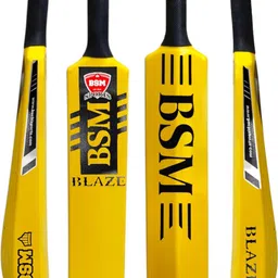 bsm BLAZE PVC/Plastic Cricket Bat For 15+ Yrs-picture-14