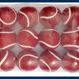 New-Tennis ball _202Pack of 6 Tennis Ball-image-36