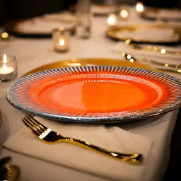 apollowceramics Ceramic Orange ceramic plate02 Dinner Set image 3