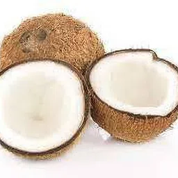 the green dotcom Coconut Plant image 3