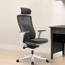 ardasinterior Inspire Breathable Mesh Ergonomic Chair In White And Grey Colour Mesh Office Adjustable Arm Chair-picture-11