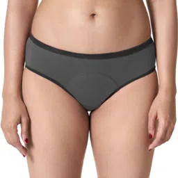 Women Hipster Grey Panty-image-0