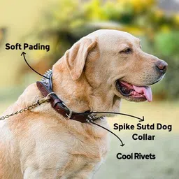 adil's Leather Spike Dog Collar, Adjustable Buckle, D-Ring, Size M, Brown Dog Everyday Collar image 5