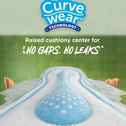 Whisper Sanitary Pads & Period Panties Combo image 4