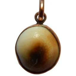 RAVIOUR LIFESTYLE Silver-Plated Oval Pendants-picture-28
