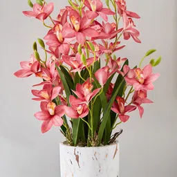 Home Centre Pink & Green Orchid Artificial Flower-image-89