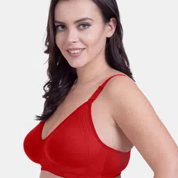 Rajnie Women Pack Of 2 Solid Non-Wired Cotton Everyday Bras RJ-667 image 2