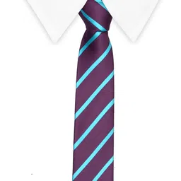 Tossido Purple Striped Broad Tie image 4