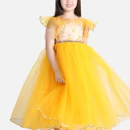 Toy Balloon kids Floral Printed Flutter Sleeves Fit & Flare Dress image 4