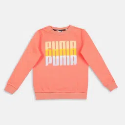 puma Summer Squeeze Youth Regular Fit Sweatshirt-picture-41