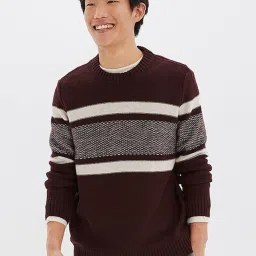 American Eagle Brown Regular Fit Striped Sweater image 1