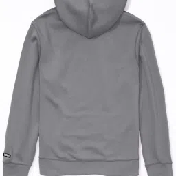 American Eagle Grey Regular Fit Printed Hooded Sweatshirt image 4