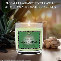 Bloom & Fragrance Green 120ml Reed Diffuser Scented Candle & 150g Potpourri Gift Set image 2