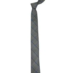 The Tie Hub Men Checked Skinny Tie image 2