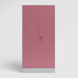 Godrej Interio Slimline Dusty Rose Metal 2 Door Almirah-picture-11