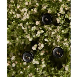 wiSDom by Sheetal Desai 3 in 1 Miniature Perfume For Women image 2