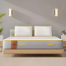 SleepyCat Original Ortho Medium Firm 8 Inch Thickness Double Size Mattress 72x48x8 Inches-picture-18