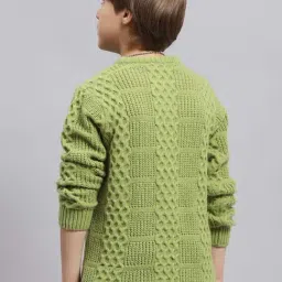 Monte Carlo Boys Green Self Full Sleeves Pullover image 2