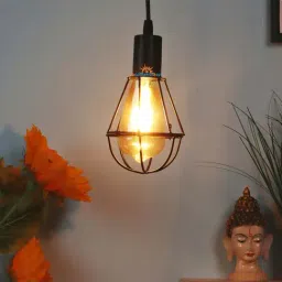 DecorativeRay Black Iron Hanging Light - Set of 1 image 2