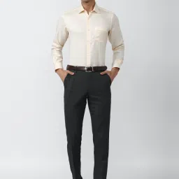 Van Heusen Beige Cotton Regular Fit Texture Shirt image 5