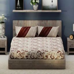Bianca Santiago Brown Fabric 192 TC 140 GSM King Size Bedsheet With 2 Pillow Covers-picture-21