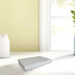 Spaces White Cotton 550 GSM Hand Towel - Set of 1-image-33