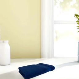Spaces Dark Blue Cotton 550 GSM Hand Towel - Set of 1-picture-2