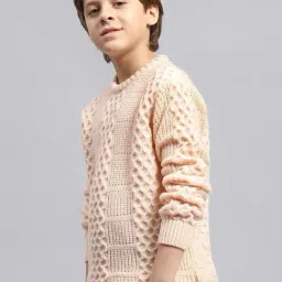 Monte Carlo Boys Beige Self Full Sleeves Pullover image 3