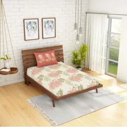 Spaces Atrium Coral Cotton 144 TC Bed Sheet Set image 1