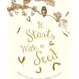quarto It Starts With A Seed Knowledge Book by Knowles Laura-English-picture-40