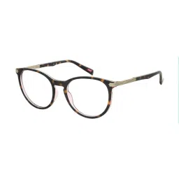 Levi's Brown Oval Eye Frames for Women-image-20