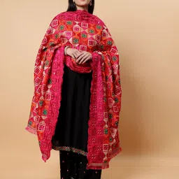 Moda Chales Ethnic Motifs Embroidered Dupatta with Phulkari image 3