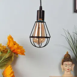 DecorativeRay Black Iron Hanging Light - Set of 1 image 3