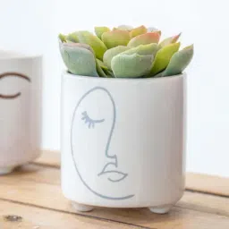 KitchenCraft White Ceramic Mini Planter Pot With Abstract Face Design image 3