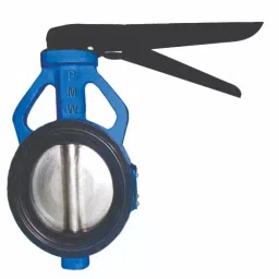 PMW 300 mm Cast Iron Butterfly Valve S.S 304 Disc Lever Operated image 1
