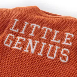 Babyhug 100% Acrylic Knit Full Sleeves Sweater with Text Design - Orange image 4